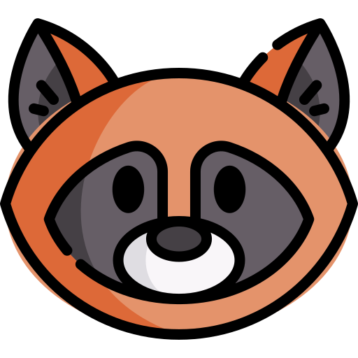 Racoon
