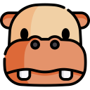 animals,mammal,wild life,animal kingdom,zoo,hippopotamus