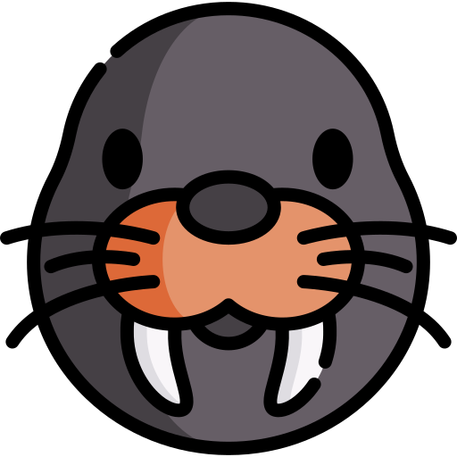 Walrus