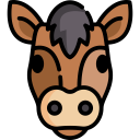 animals,mammal,wild life,animal kingdom,horse,wild horse