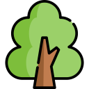 ecology,nature,botanical,tree,gardening,garden,yard,fruit tree ok 