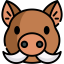 Favicon