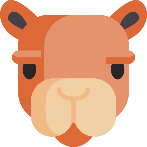 Camel