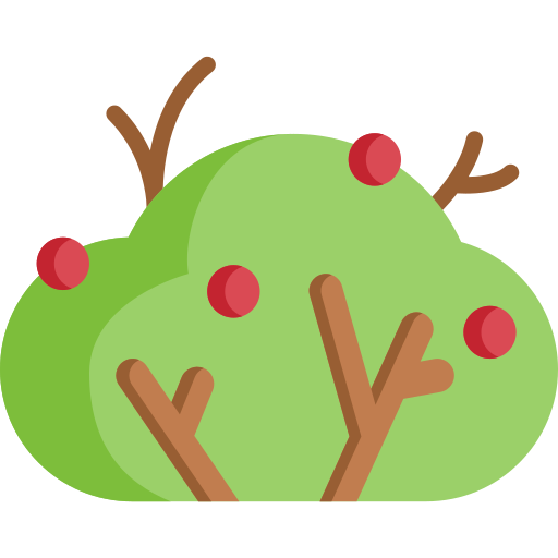 Bush