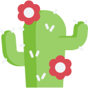 dry,nature,plant,botanical,dessert,cactus