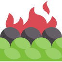 security,nature,tree,disaster,burning tree,conflagration