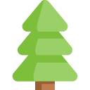 decoration,nature,xmas,tree,pines,christmas tree ok 