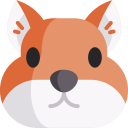 animals,wild life,animal,Rodent,zoology,squirrel