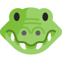 animals,wild life,animal,zoology,crocodile