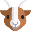 animals,mammal,wildlife,animal kingdom,goat