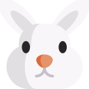 rabbit,animals,mammal,nature,wild life,animal kingdom,zoo
