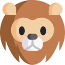 animals,wild life,animal,zoology,lion