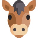 animals,mammal,wild life,animal kingdom,zoo,wild horse,spring swing horse
