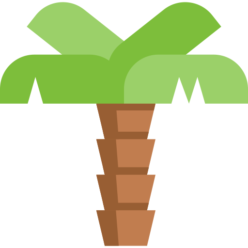 Palm