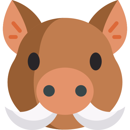 Boar