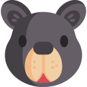 animals,mammal,wild life,animal,wild