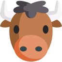 animals,wildlife,animal kingdom,zoo,bull ok 