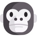 animals,wild life,animal,zoology,ape ok 