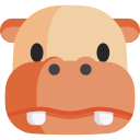 animals,mammal,wild life,animal kingdom,hippopotamus