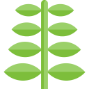 nature,aroma,plant,leaf,garden