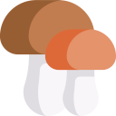 food,food and restaurant,nature,mushroom,Muscaria