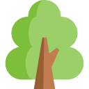 nature,botanical,tree,gardening,garden,yard,joshua tree,fruit tree