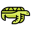 animals,wildlife,zoo,animal,turtle,wild
