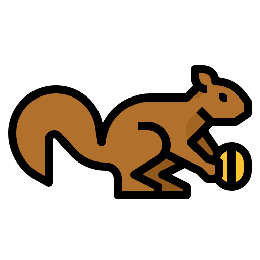 Squirrel