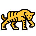 animals,wildlife,zoo,animal,wild,tiger ok 