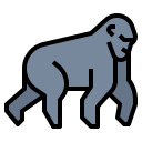 animals,wildlife,zoo,animal,wild,gorilla