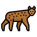 animals,wildlife,zoo,animal,wild,hyena