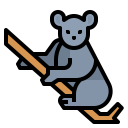 animals,wildlife,zoo,animal,wild,koala