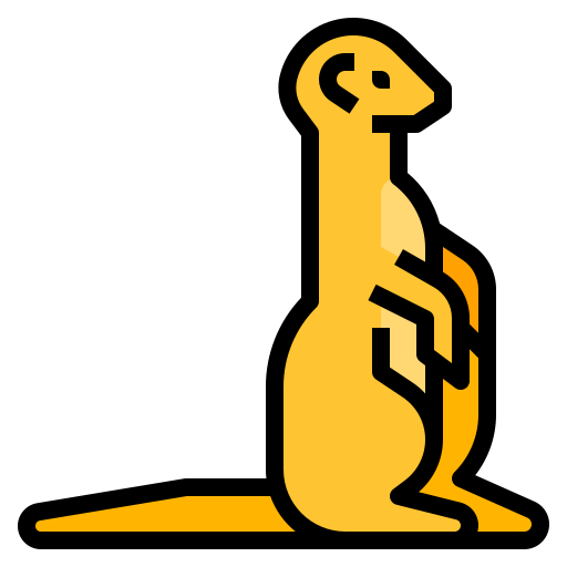 Meerkat