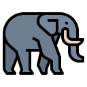 animals,wildlife,zoo,animal,wild,elephant