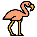 animals,wildlife,zoo,animal,wild,flamingo