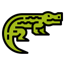 animals,wildlife,zoo,animal,wild,crocodile