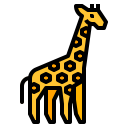 animals,wildlife,zoo,animal,wild,giraffe