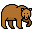 animals,wildlife,zoo,animal,wild,bear ok 