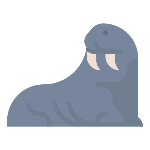 Walrus