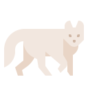 animals,wildlife,zoo,animal,wolf,wild