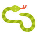 animals,wildlife,zoo,snake,animal,wild