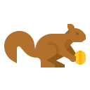 animals,wildlife,zoo,animal,wild,squirrel