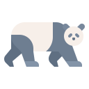 animals,wildlife,zoo,animal,wild,panda