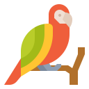 animals,wildlife,zoo,animal,wild,parrot