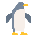 animals,wildlife,zoo,animal,wild,penguin