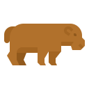 animals,wildlife,zoo,animal,wild,hippopotamus