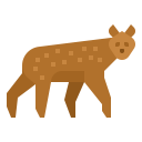 animals,wildlife,zoo,animal,wild,hyena