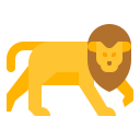 animals,wildlife,zoo,animal,lion,wild
