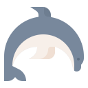 animals,wildlife,zoo,animal,wild,dolphin