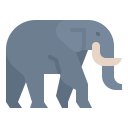 animals,wildlife,zoo,animal,wild,elephant